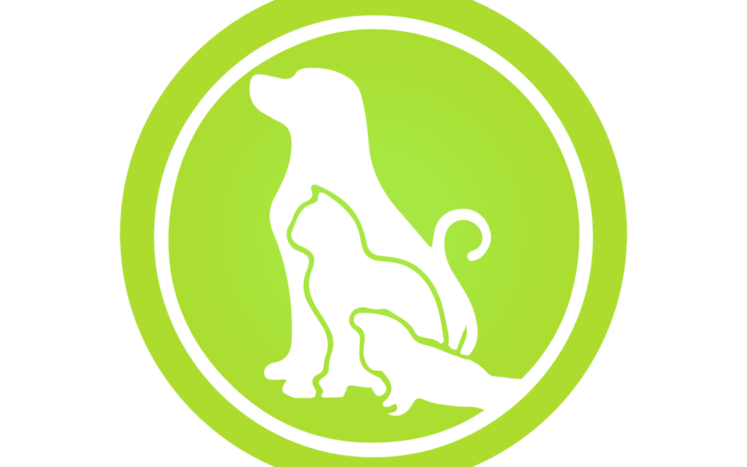 Consultorio Veterinario